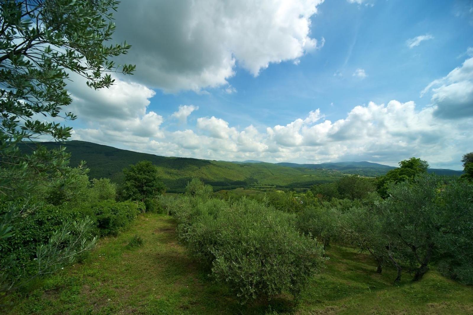 Hotel Girifalco - Nature & Relax Massa Marittima Exterior foto